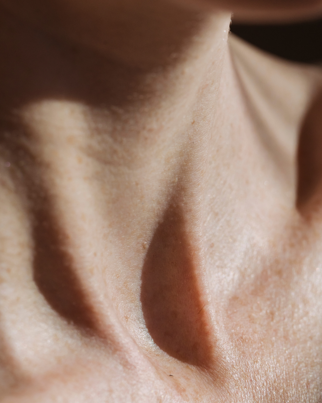 The Ageing Neck, Layer by Layer: What the Evidence Shows